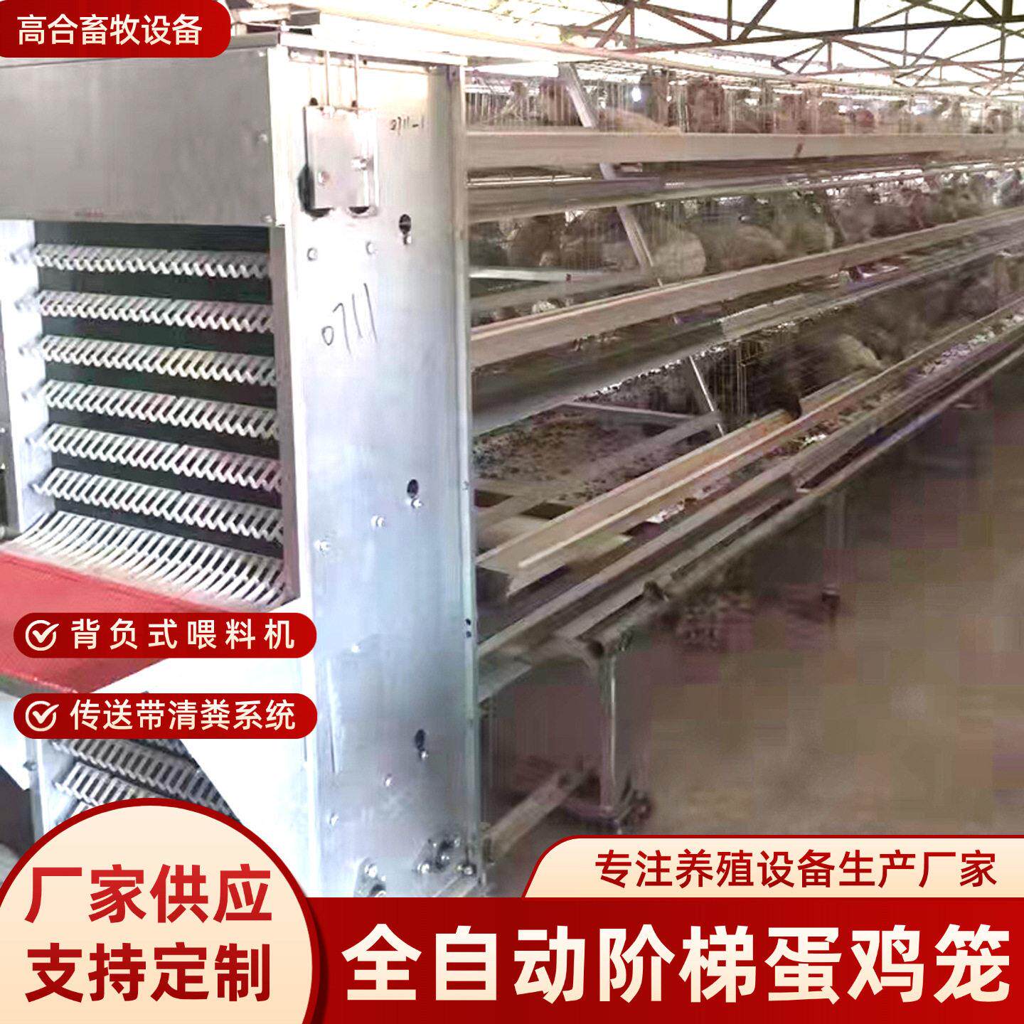 A型全自动阶梯蛋鸡笼加背负喂料捡蛋机热镀锌全自动阶梯鸡笼设备