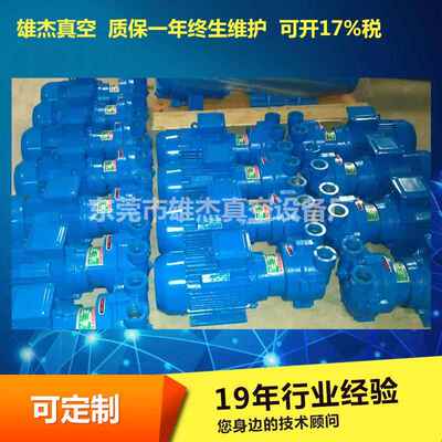 厂家直销 纸托模型用2BV5161水环真空泵 水循环真空泵含税价