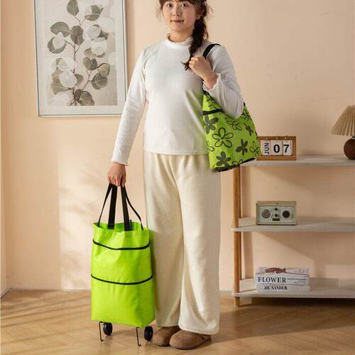 Portable Shopping Cart, Foldable and Backpack-style, Lightwe