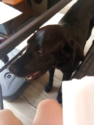 科沃斯DD35和DS35哪个好，差别大不大？