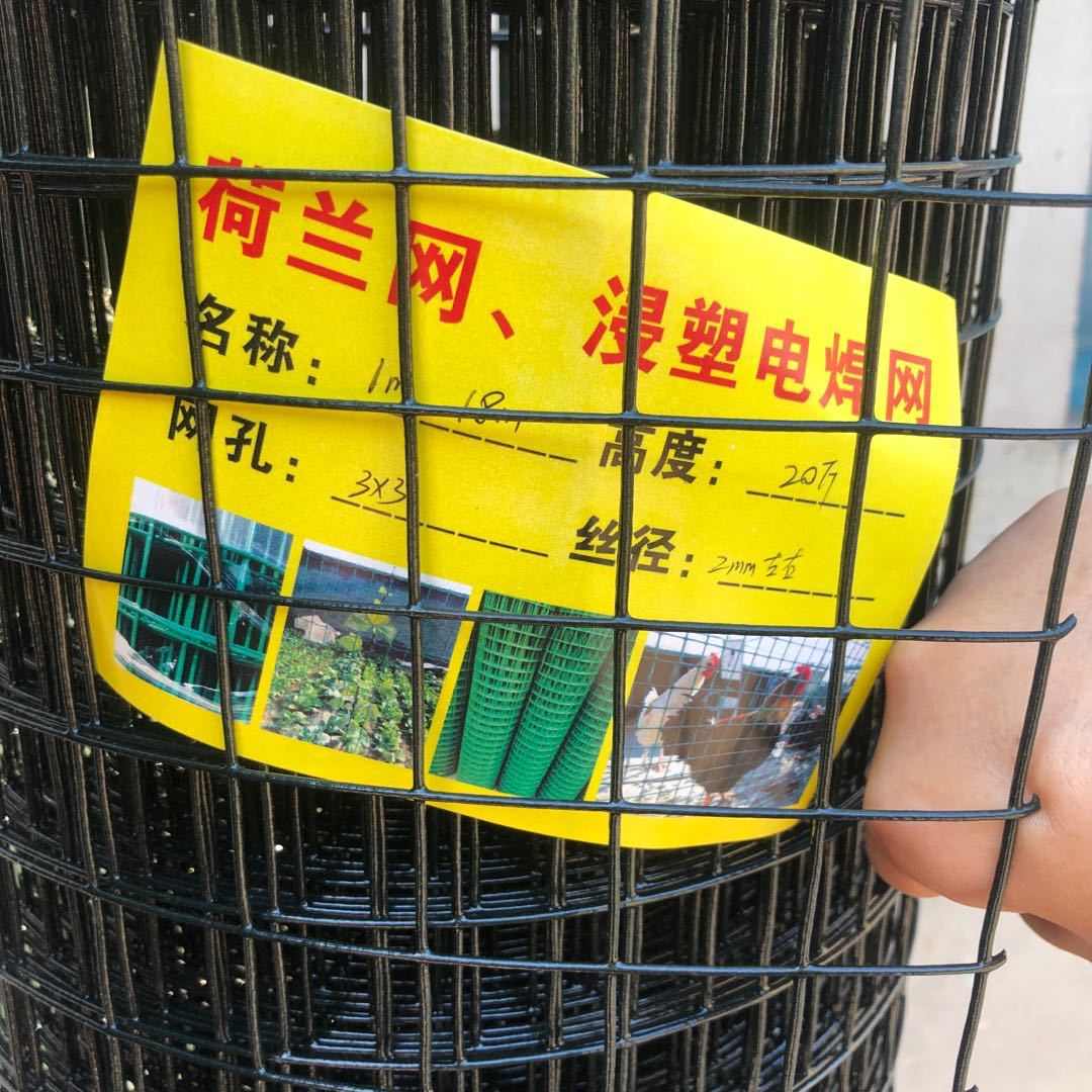 3厘米铁丝网围栏/荷兰网小孔网格/养殖防护/浸塑铁丝网庭院护栏网