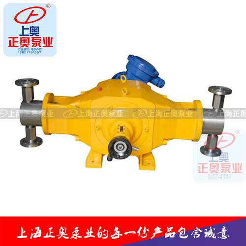正奥泵业DZ-D2型柱塞式计量泵