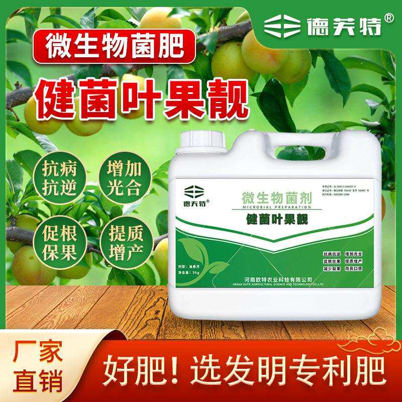 德夫特直销果实美果靓果防裂促根壮果肥果树瓜果专用提质增产