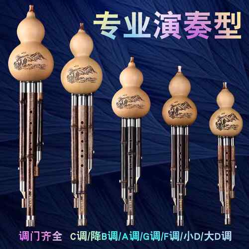 高档云调南紫竹芦丝乐器专业演奏成人C调降B型DAGF葫初学考级正品