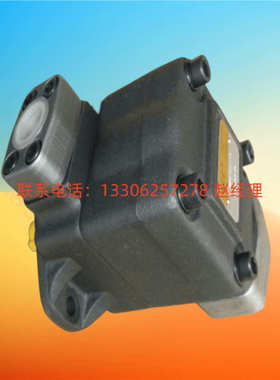 凯嘉KCL DVQ20-32-F-RAA-01 DVQ25-34/38/44-F-RAA-01 叶片泵