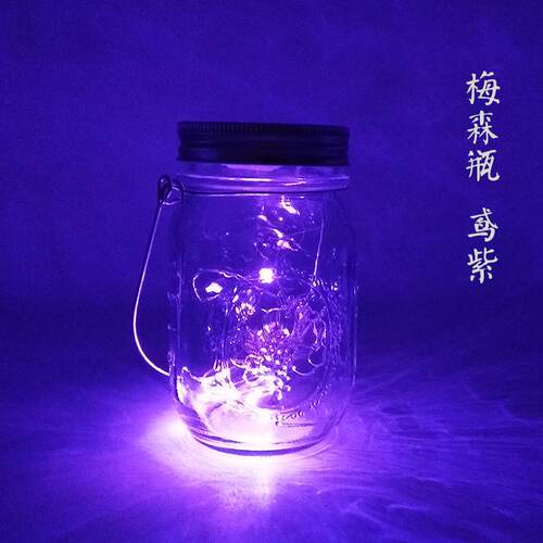 高档led手萤火虫灯太梅阳能流光森瓶创意礼物手提许愿瓶玻工璃小