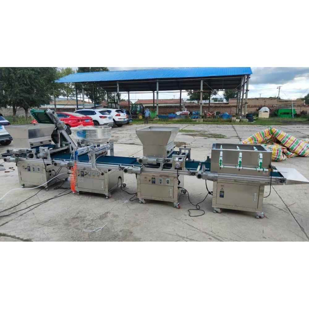 自穴动穴盘育苗全机菜盘育NEL苗播种机电气混合农用定量点蔬播机