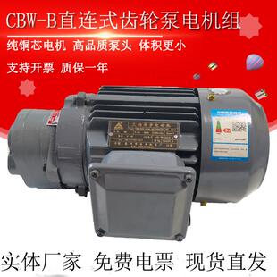 B25 B32直插齿轮油泵电机CBW B16 63润滑泵R B20