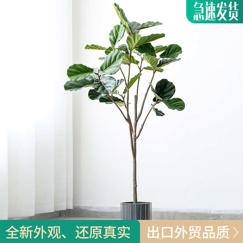 室内盆景叶免创意榕绿大型北欧琴浇水盆栽盆栽植落地植物摆件