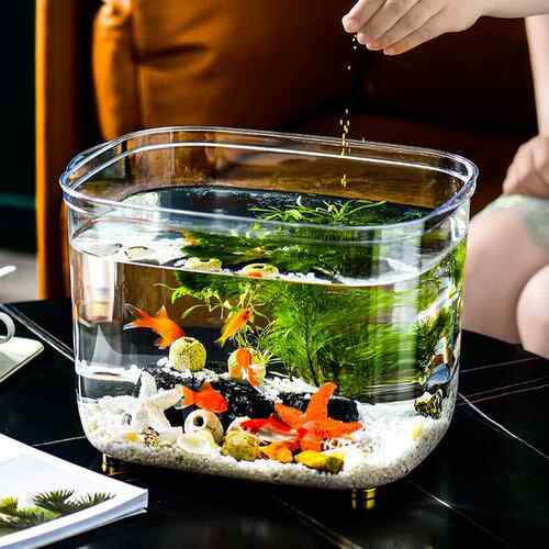 鱼缸客厅小型超白养鱼缸家用水族箱桌面造景生态水草缸乌龟金鱼缸
