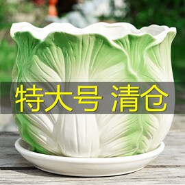 花盆陶瓷大号特大带托盘家用吊兰简约创意绿萝大多肉花盆