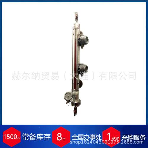 荷兰磁性液位计干簧管变送器