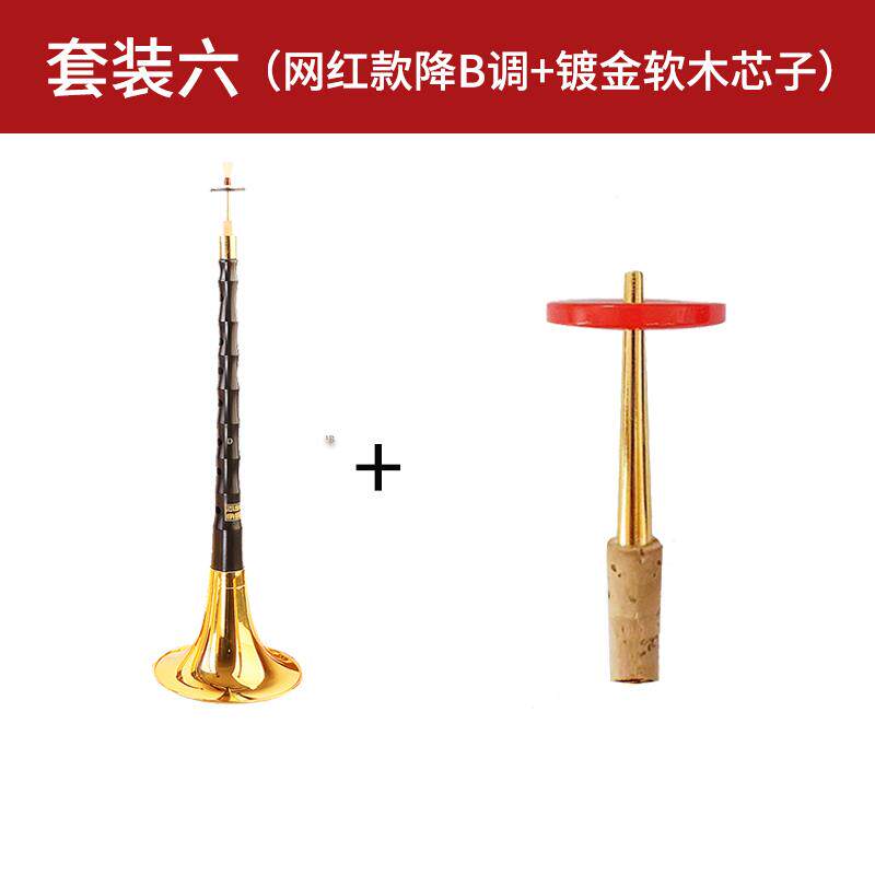 高档调王彪网红乌木唢呐器初学者全套家民族喇叭d降B调考乐入门专