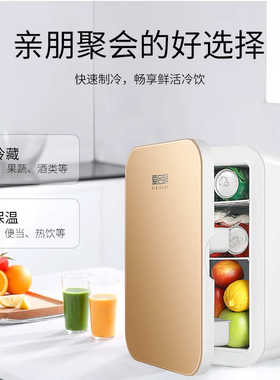 两用制热升微型冷藏20冰箱冷暖箱保鲜车载车学生宿舍迷你冰箱家