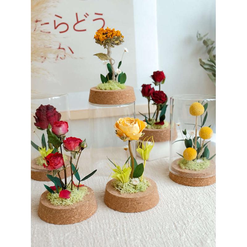 干花植物标本软木塞玻璃罩节日礼物母亲节教师节摆件送妈妈送老师