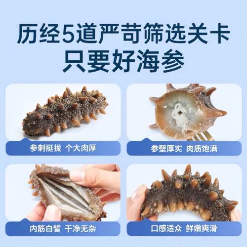 大连海参即食500g深海底播野生海参鲜活辽参老人孕妇滋补节日送礼
