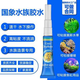 国象莫斯胶水水草胶水水草造景莫丝胶水水草沉木瞬间胶水草胶