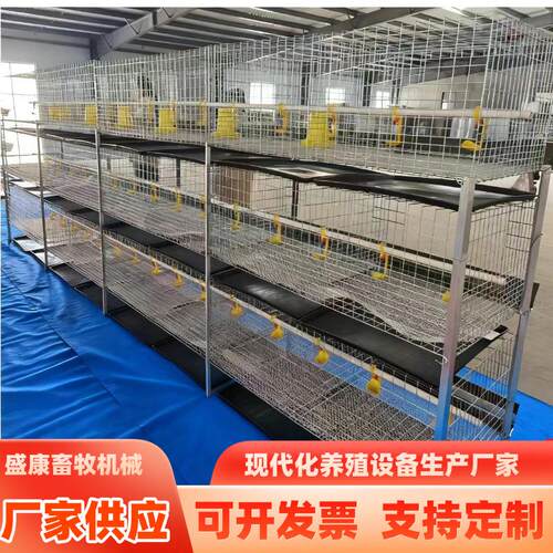 大型养殖鸡舍粪托肉鸡笼一体立式框架式鸡笼自带水桶肉鸡笼养设备