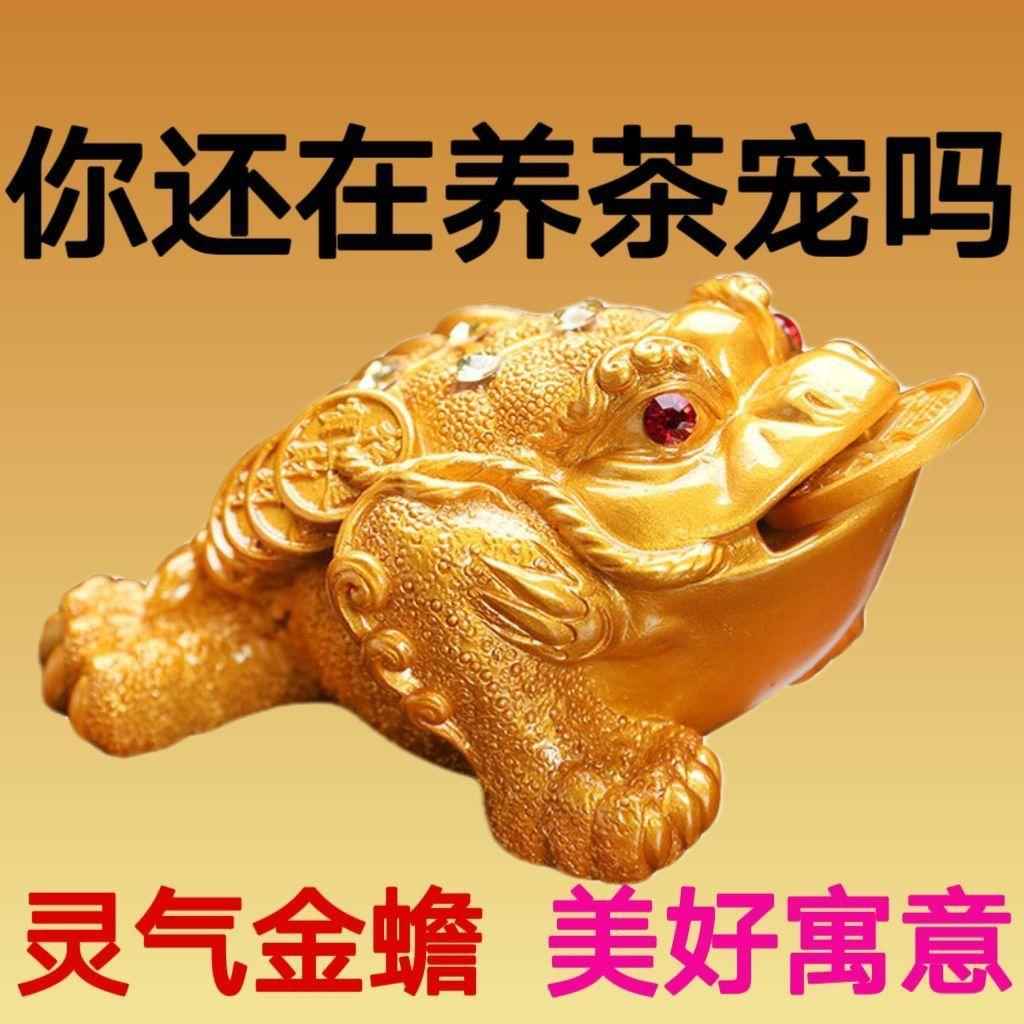 茶宠摆件可养招财变色金蟾茶具配件创意功夫茶具茶玩貔貅变色茶宠