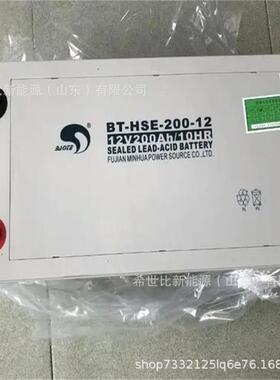赛特蓄电池BT-HSE-65-12通讯及电力设备12V65AH发电厂/变电站
