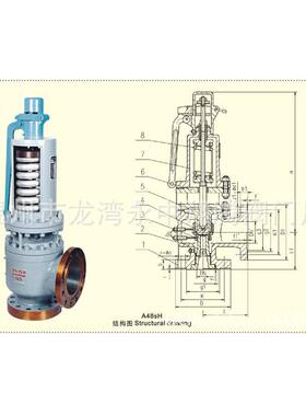 YFA48Y-100C电站高温高压带散热器安全阀