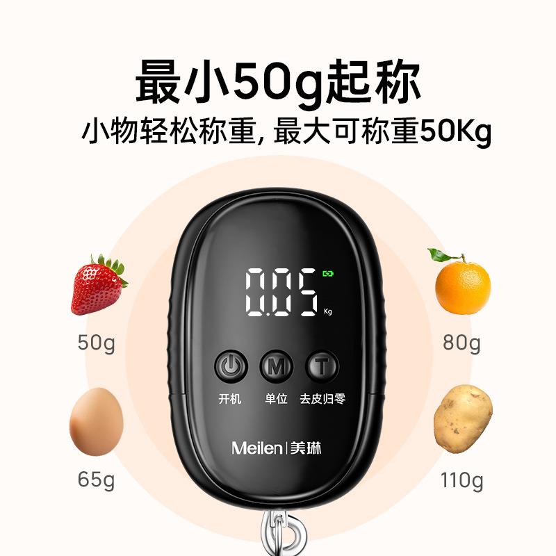 便携式手提秤卖菜手提称重电子秤一体高精度家用快递精准小型充电
