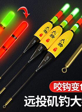 矶竿远投滑漂矶钓浮漂专用路亚大物阿波鱼漂电子夜光漂立日夜两用