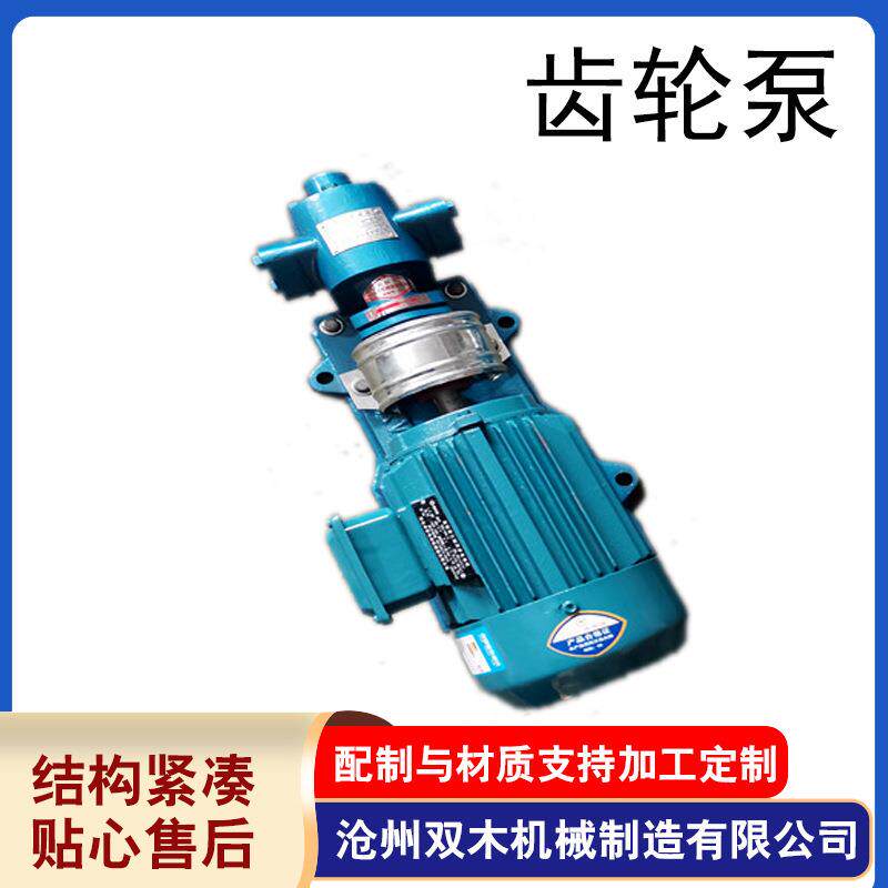 齿轮泵和渣机上渣机热豆浆豆渣豆脑泵厂家供应三相电二相电齿轮泵