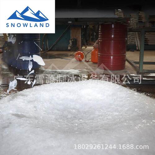 雪源Snowland10吨不锈钢海水片冰机一键操作24小时出冰保鲜降