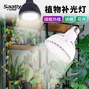 十田植物补光灯led全光谱室内鱼缸爆藻热绿植生长灯定时桌夹落地