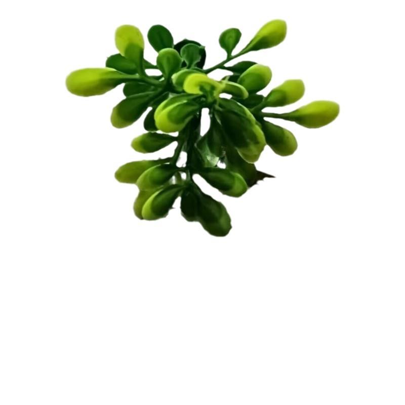 仿真黄杨梅草草球仿真塑料草球装饰仿真米兰草球黄杨草球井盖遮挡