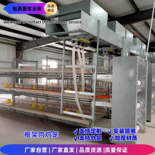 全自动框架肉鸡笼三层立式养鸡笼镀锌工艺养殖设备