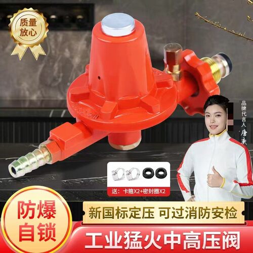 国标商用不可调节中压阀煤气罐液化气高压阀猛火煤气灶防爆减压阀