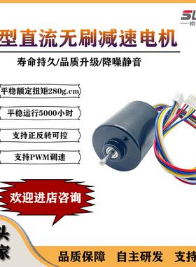 BL3640微型有感直流无刷减速电机外置驱动12v24v噪音真空泵小马达