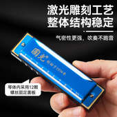 国光十孔布鲁斯口琴C调初学者入门专业10孔蓝调儿童小学生专用男