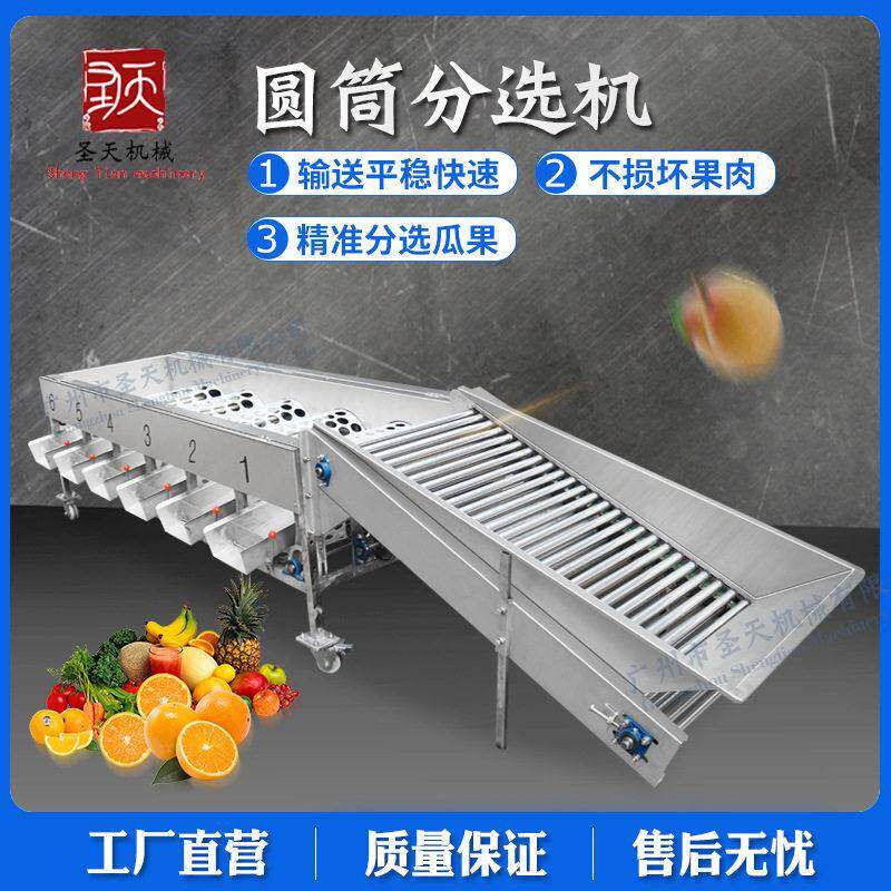 广州圣天水果分级机荔枝三华 李子橙子选果机 果蔬柑橘清洗分选机