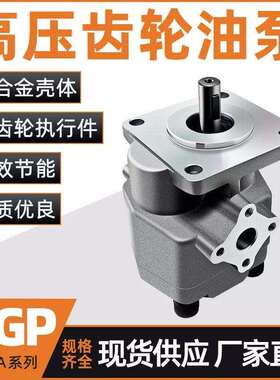 高压液压齿轮泵油泵HGP-2A-F2R F3R F4R F6R F8R F9R F11R F12R