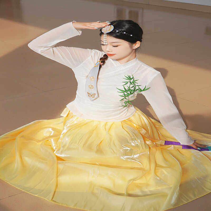 定制艺考朝鲜族舞蹈服装女练功服大摆裙学生舞蹈生艺考比赛服装