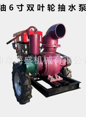 防洪排涝EZI柴油水泵 四轮后推车8寸抽泵水带 拖拉机悬挂离心泵