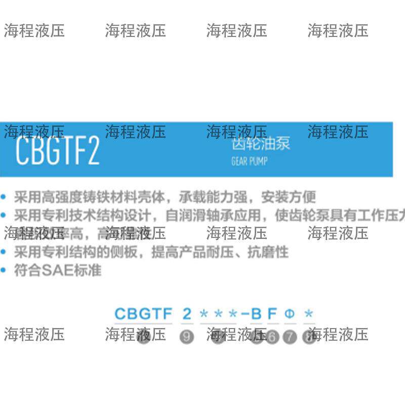 CBGTF2系列齿轮油泵单联泵C齿轮泵