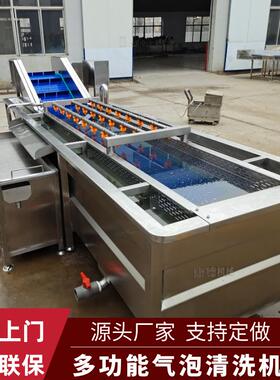 西红柿气泡清洗机速冻蔬菜清洗焯水漂烫设备海带丝高压气泡清机