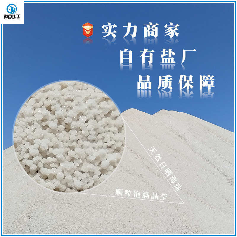 日晒工业盐生产厂家大颗粒粗盐 鱼虾养殖锅炉水处理用海盐颗粒