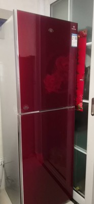 尊贵bcd-251c铜管钢化玻璃冷冻面板选择误区，需要注意这五点