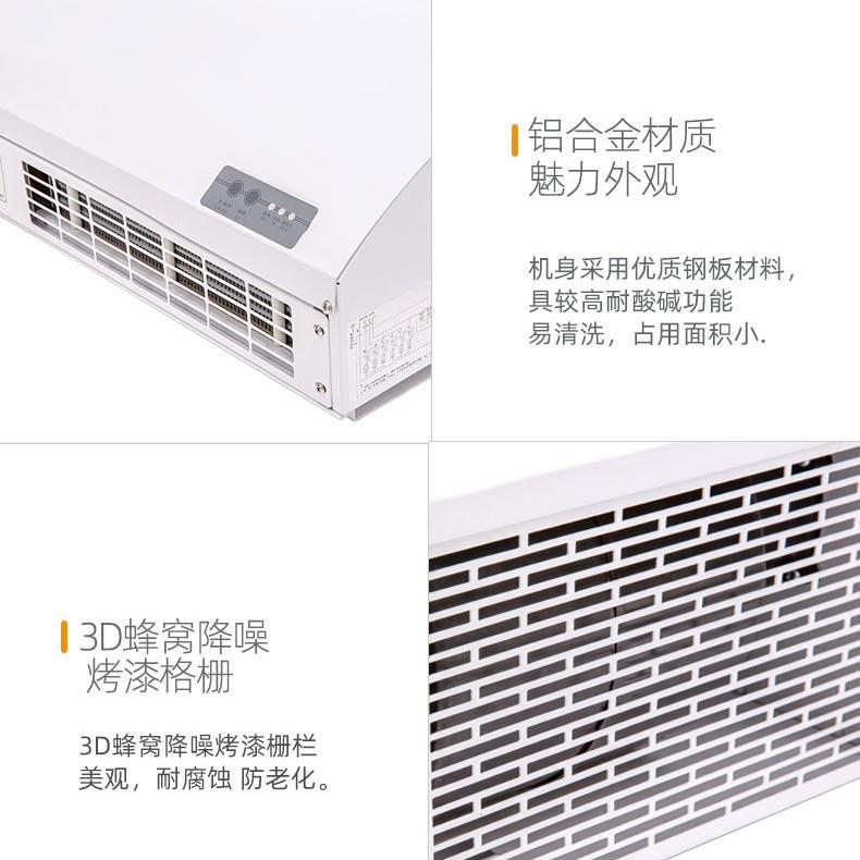 北京绿岛风离心式冷暖电热风幕机(遥控型)RM3509-3D/Y-D