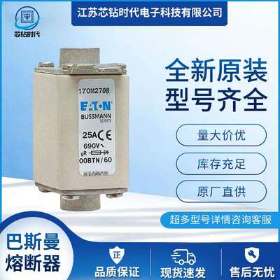 170M2717 170M2718 170M2719 巴斯曼BUSSMANN熔断器保险丝