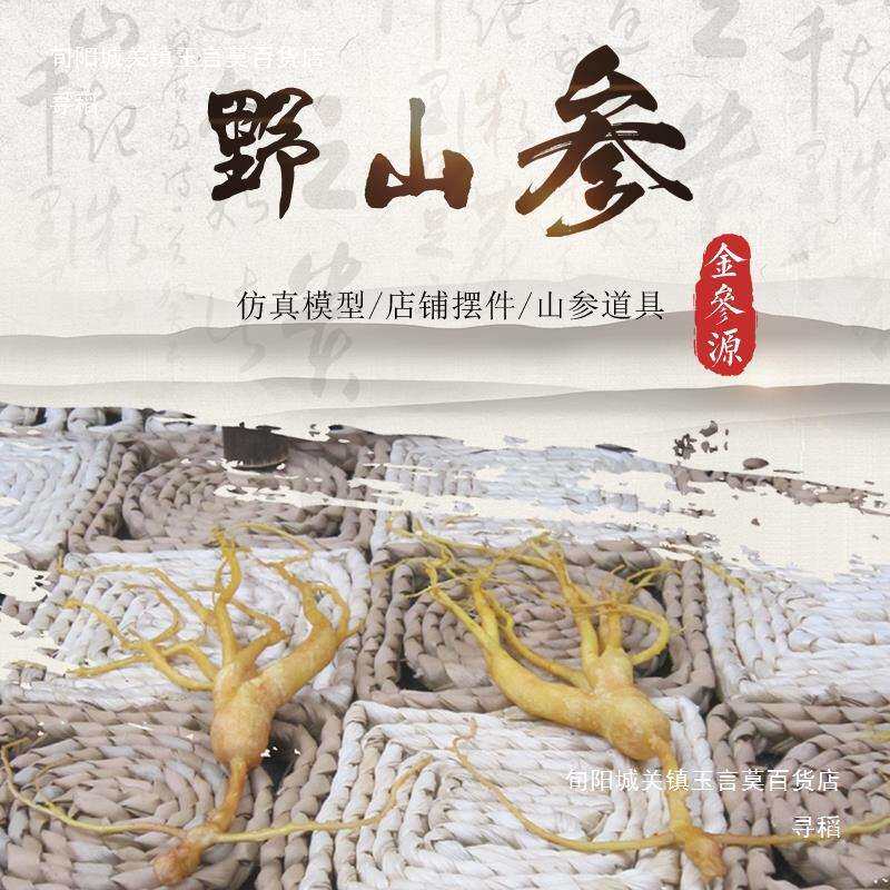 大号山参模型野山参模型摆件小号山参陈列道具林下参展示模型
