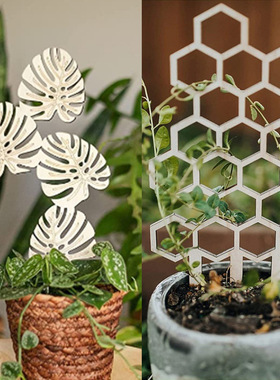 品质木质蜂巢植物攀爬架镂空格子爬藤花架园艺盆栽支架固定支撑杆