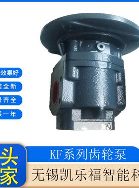 KF4/150G10BN0A7DP65 圆锥破碎机油泵KF4/150 G108 P007DP1