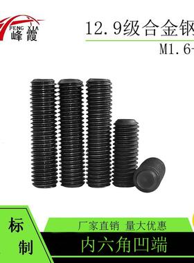 12.9级DIN916M1.6M2M3-M14M16内六角凹端紧定螺钉机米顶丝无头螺