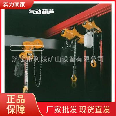 利煤防爆电动葫芦HQ8-（3-16）矿用环链式气动葫芦